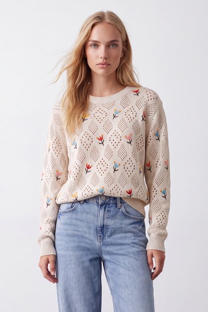 Light Beige Crew Neck Openwork and Embroidered Knitwear Sweater Alc-X9392