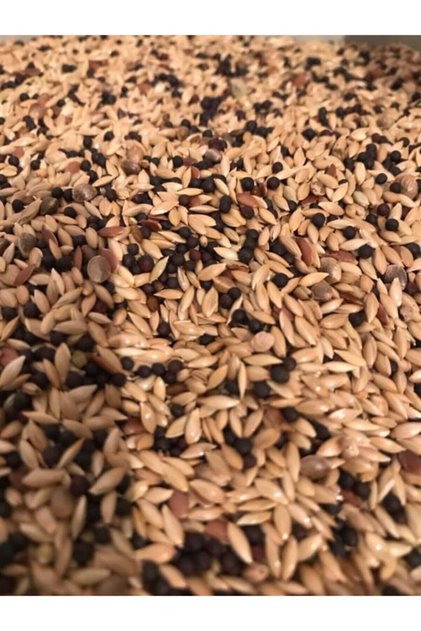 Karışık Kanarya Yemi 1kilo
