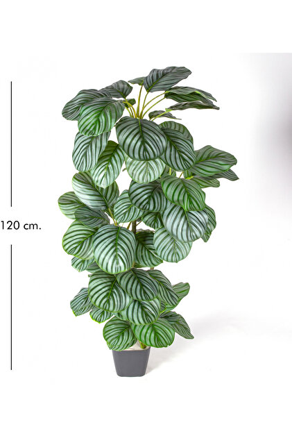 落葉樹 hirooo Herdekora Yapay Ağaç Ararot-Arrowroot Gerçek Dokulu 64 Yaprak