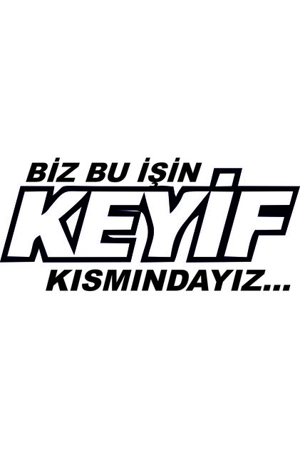 WE ARE ON THE FUN PART OF THIS CAR AUTO STICKER (37X17CM)