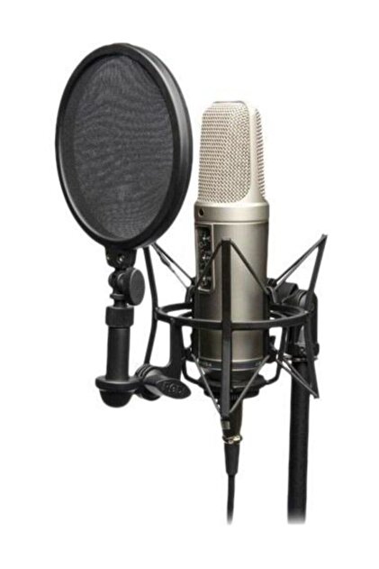 RODE NT2-A 2本セット売り Rode Nt2-a Condenser Stüdyo Kayıt Mikrofonu Fiyatı, Yorumları