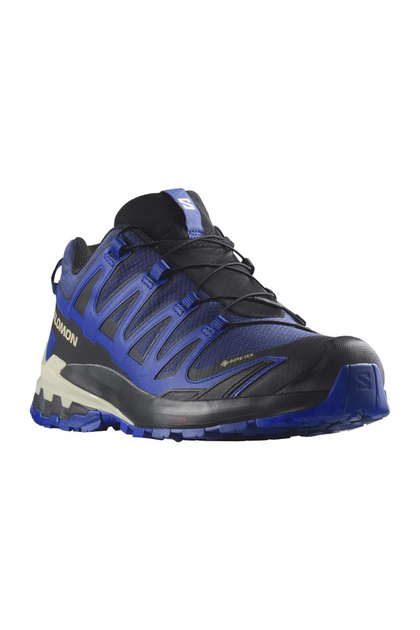 Salomon Xa Pro 3d V9 Gore-tex Erkek Outdoor Ayakkabı - Fiyatı