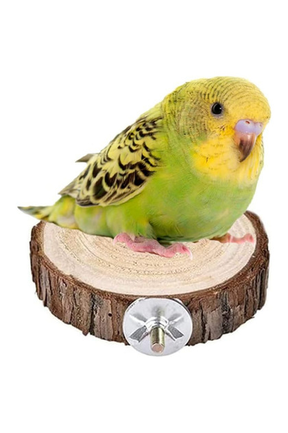 Pine Wood Bird Perching Stand - For Parrots, Cockatoos and Other Birds (AI7890)