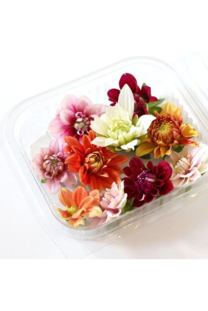 Yenilebilir Çiçek Dahlia (10 ADET)