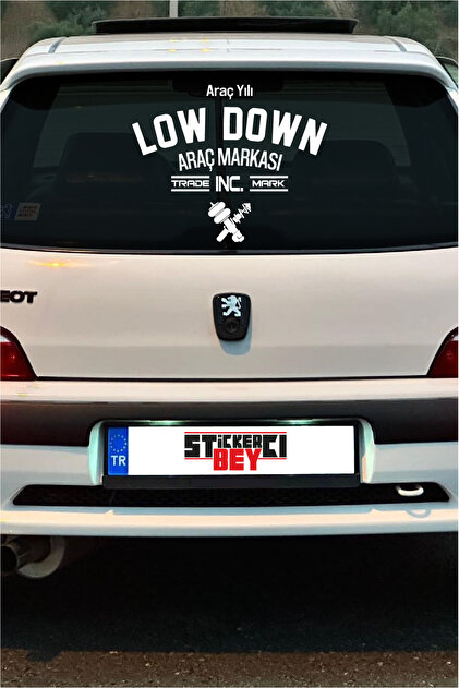 42*35 CM LOWDOWN REAR WINDOW STICKER SET