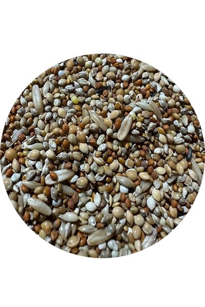 Yavru Ve Hasta Kuş Yemi 500 gr (ÖZEL VAKUMLU AMBALAJ)