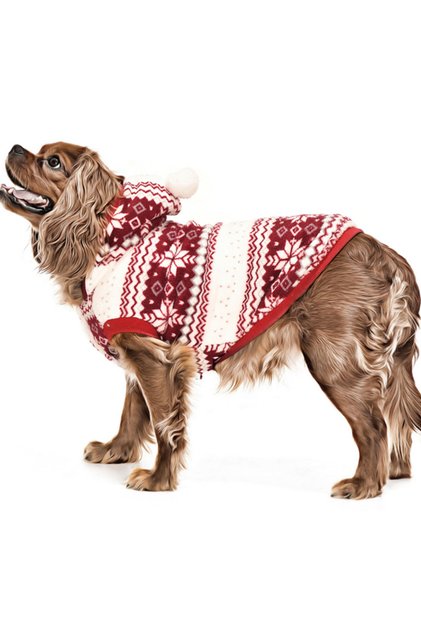 Pompom Polar Dog Sweater