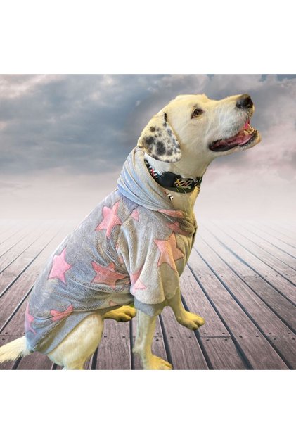 Biggie Medium-Large Breed Dog Fluffy Sweatshirt