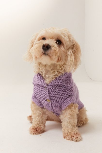 Köpek Simli Lila Hırka/Kazak