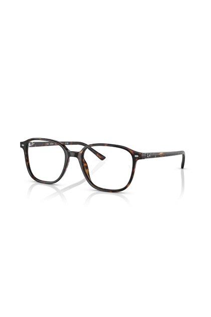Ray-Ban TRANSITIONS® Fotokromik Güneş Gözlüğü RB Leonard 2193 902