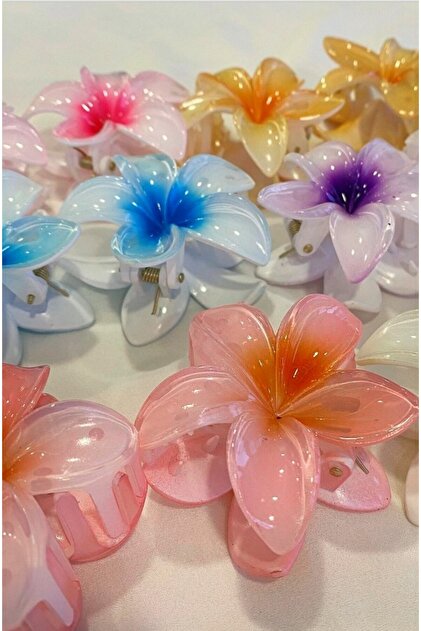 Heartfelt Gifts Kadın Büyük Boy 12'Lı (8cm) Renkli Lotus Toka Seti