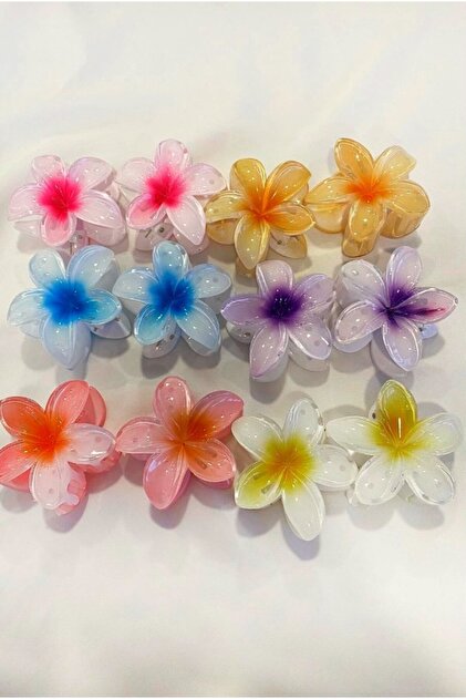 Heartfelt Gifts Kadın Büyük Boy 12'Lı (8cm) Renkli Lotus Toka Seti