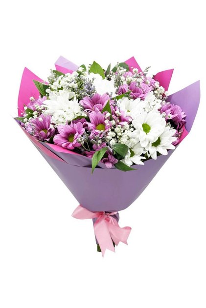 Papatya - Pembe Beyaz Mary
