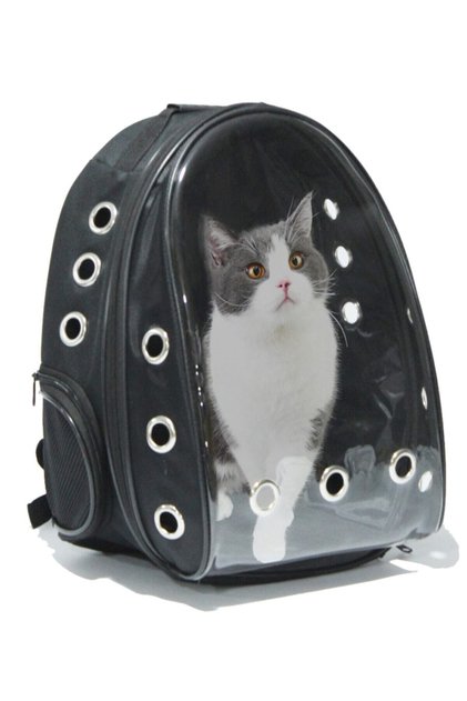 Şeffaf Hava Kanallı Kırılmaz Cam Kedi Köpek Taşıma Seyahat Çanta 42*22*33 Cm Siyah