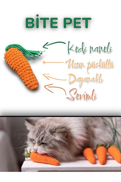 Carrot Shaped Cat Mint Toy