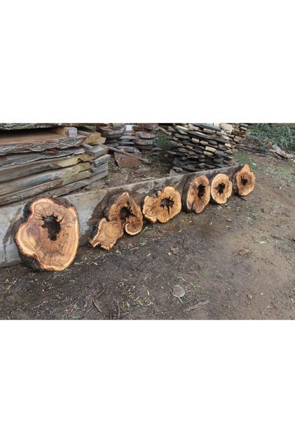 Zeytin Ağacı Ham Sehpa Tablası