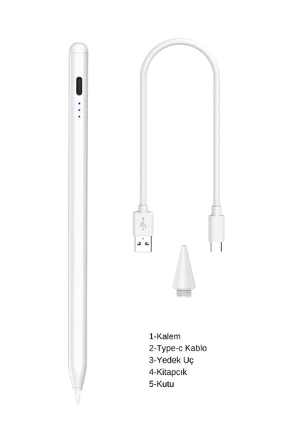 Fuchsia iPad 9. Nesil A2602/A2603/A2604/A2605 Avuçiçi ve Eğim