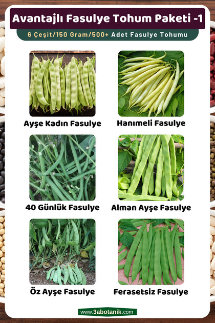 Avantajlı Fasulye Tohum Paketi-1, Toplam 6 Çeşit/150 Gram/takribi 500 Adet Fasulye Tohumu