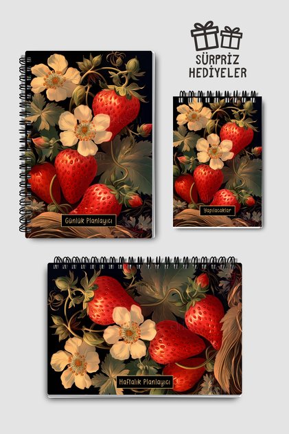 Planning Set of 3, Daily Planner, Weekly Planner, To-Do List, Academic Agenda