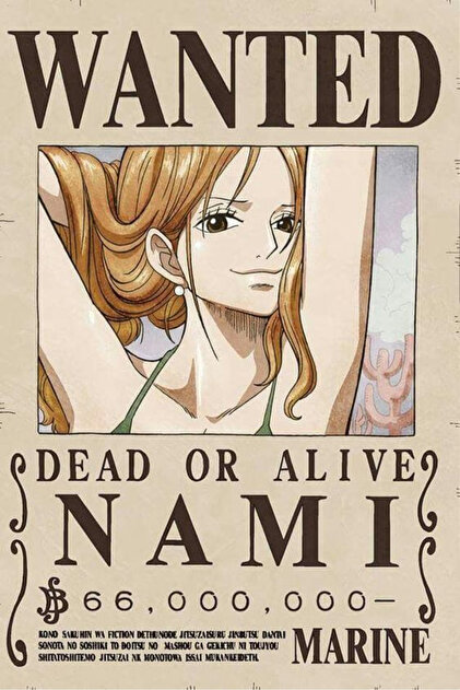 Pridas One Piece Wanted Poster Seti Bütün Tayfa A4 Kraft Posterler