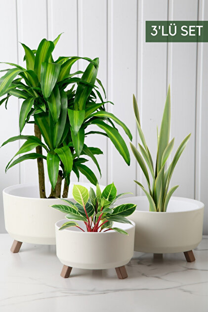 POT様おまとめ Nandy Home Tripot Model 3'lü Saksı Seti - Fiyatı, Yorumları