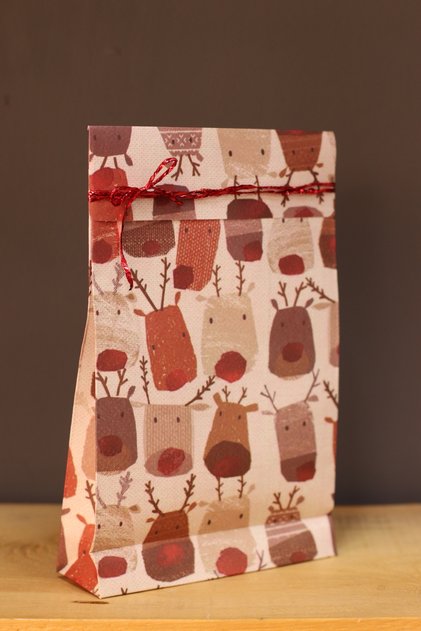 New Deer Pattern Bag Gift Package 25x16x5 Size 2 Pieces