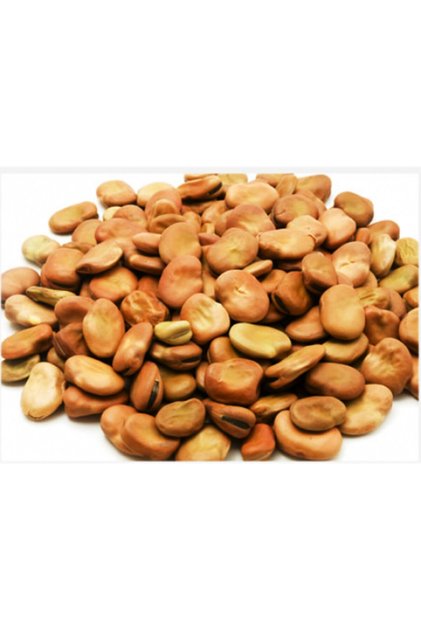 Kabuklu Bakla 1 Kg
