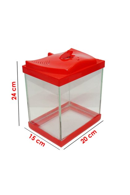 Renkli Kapak Cam Betalık 15x20x24 Cm