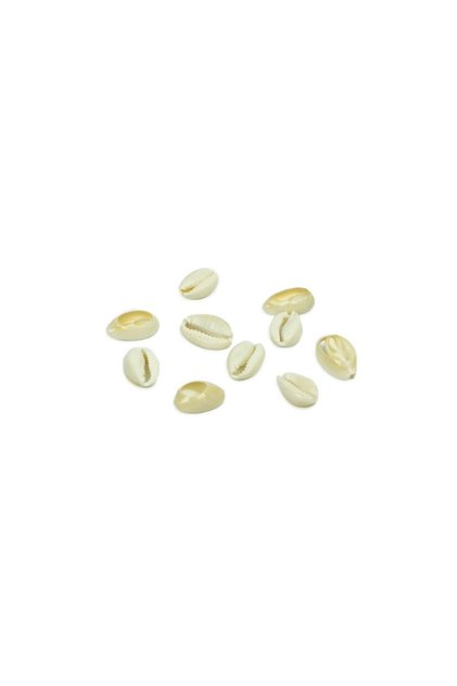 Pack of 10 Seashells 2cm