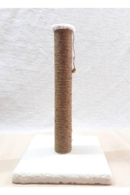 50 cm kedi tırmalaması