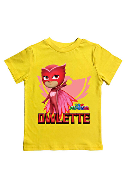 PJ Masks zijn 3 jongens die in de nacht een superheldenteam zijn