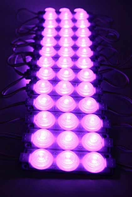 Hazar Led 12 Volt 3'lü Lensli 3 Watt 3030 Reklamcı Modül Led Mor