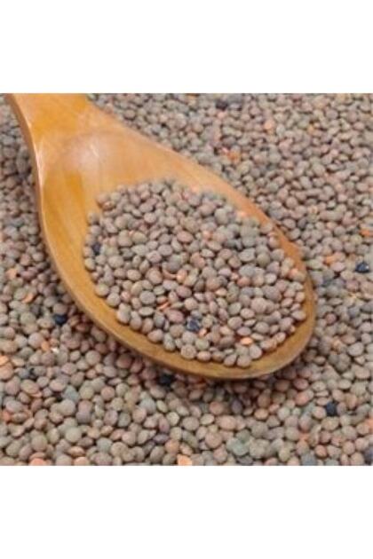 Antep Kahverengi Mercimek 1 Kg