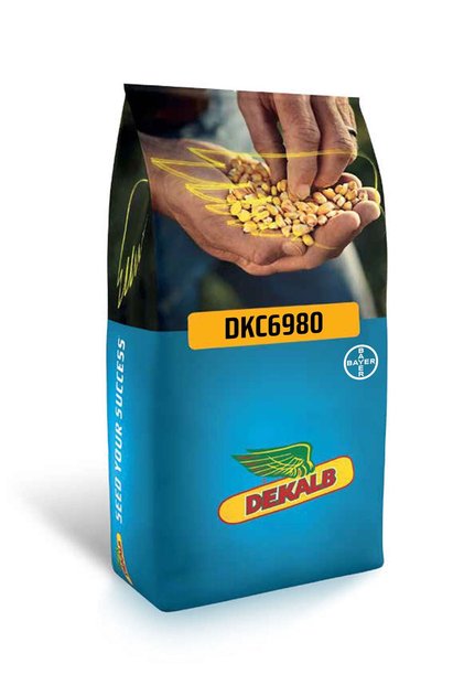 Dkc6980 Geçci Danelik Mısır Tohumu