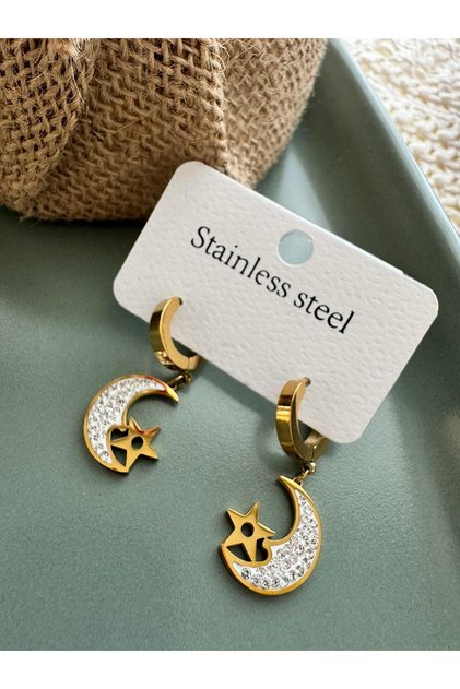 Moon Star Jewelled Steel Earrings