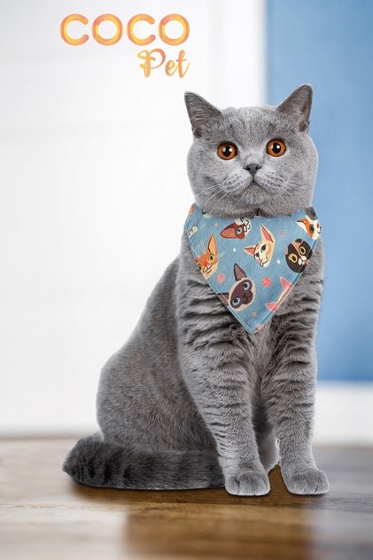 Desenli Fular Bandana Kedi Tasması