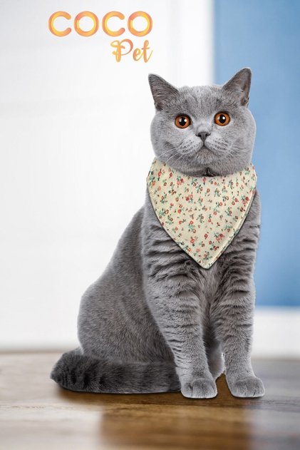 Desenli Fular Bandana Kedi Tasması