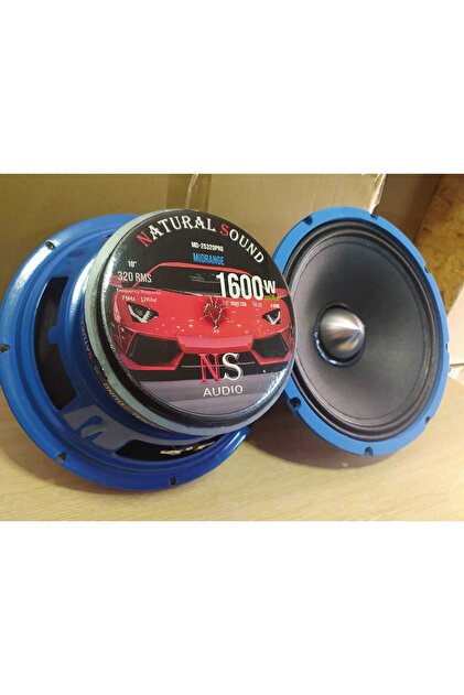 ナスカー 2台セット ns audio natural sound 25cm Midrange Hoparlör 1600w mAx 2.5 inch