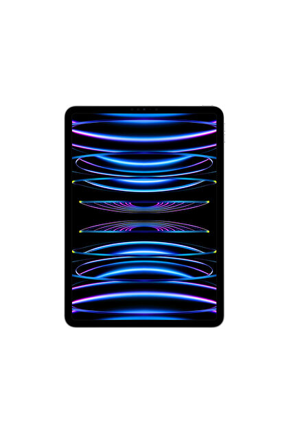 Apple 12.9-inch iPad Pro Wi?Fi + Cellular 2TB - Silver - Fiyatı