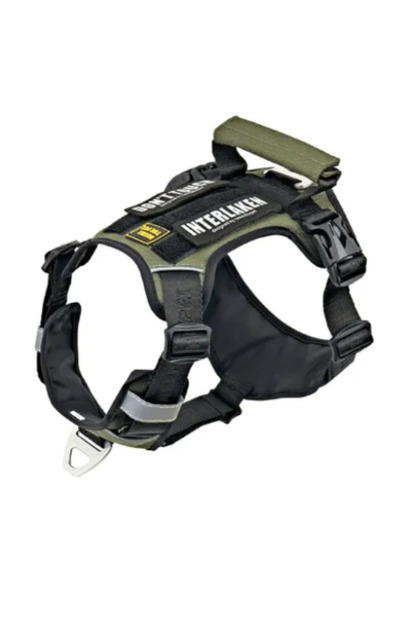 Köpek Harness Koşum Takımı Hafif Küçük Ve Büyük Köpekler Uzanma Önleyici Göğüs Tasması