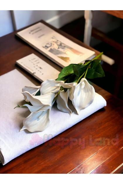 Бэтмен секс ойнаңыз Жетілген апай