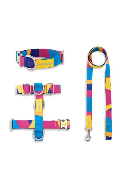 Colors Dog Chest, Neck and Leash Set