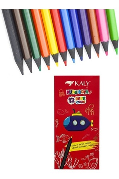 12 Colors Full Size Dry Paint Set