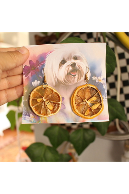 akcepazar Real Lemon Dan Earrings Dried Lemon Handmade- Trendyol