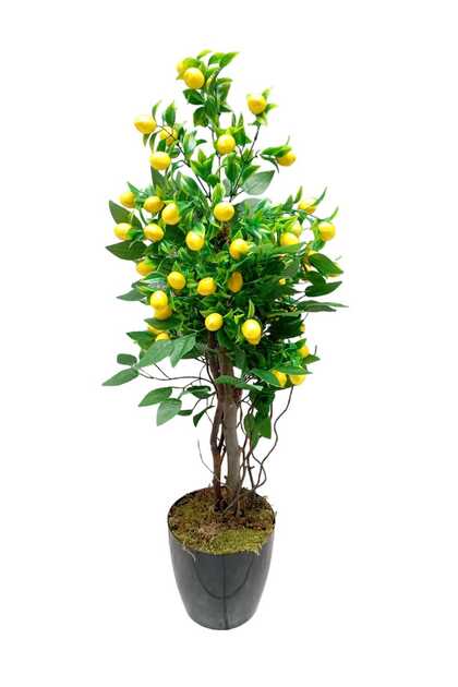 Limon Ağacı doğal görünümlü çalılı lüks yapay ağaç 90 cm.