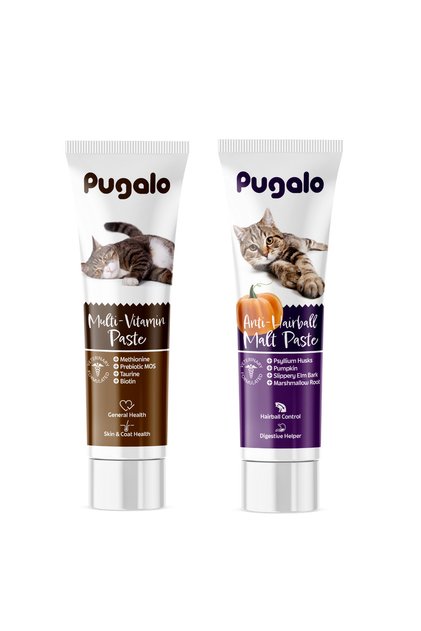 KEDİ 2'Lİ BAKIM PASTE