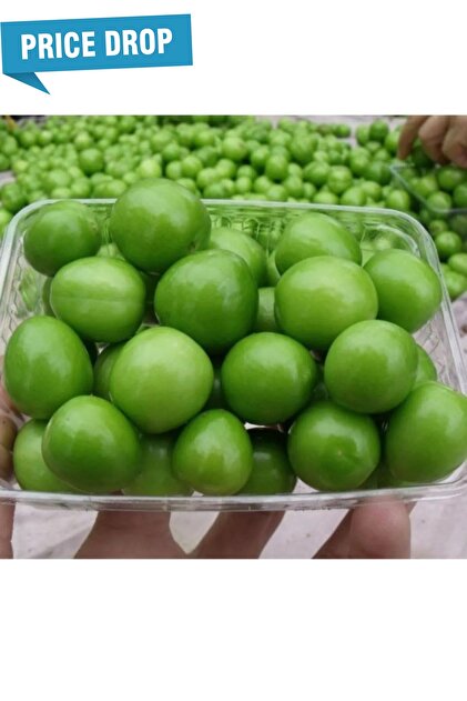 ÇokTaze Taze Can Eriği - Yeşil Ekşi Bahçe Eriği - Taze Erik