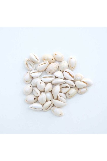 20 Seashells