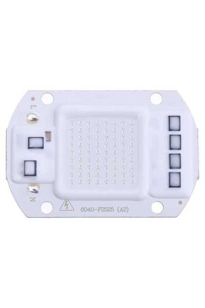 Mavi 220V Projektör Cob Led 50W Driver Çipli