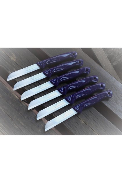 Fruit and Vegetable Knife with Perforated Handle, Glittery, 12 Pieces, Serrated